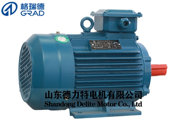 YE2高效率三相異步電動機(jī)-100L